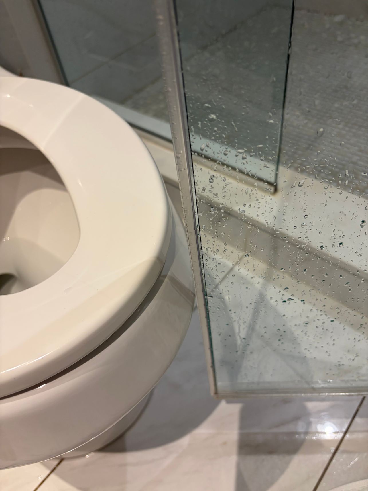威廉格雷酒店-旅行者