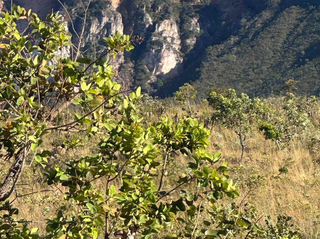 Praia Rica Ecoturismo - expedições personalizadas no Cerrado brasileiro-Palmas必去景点