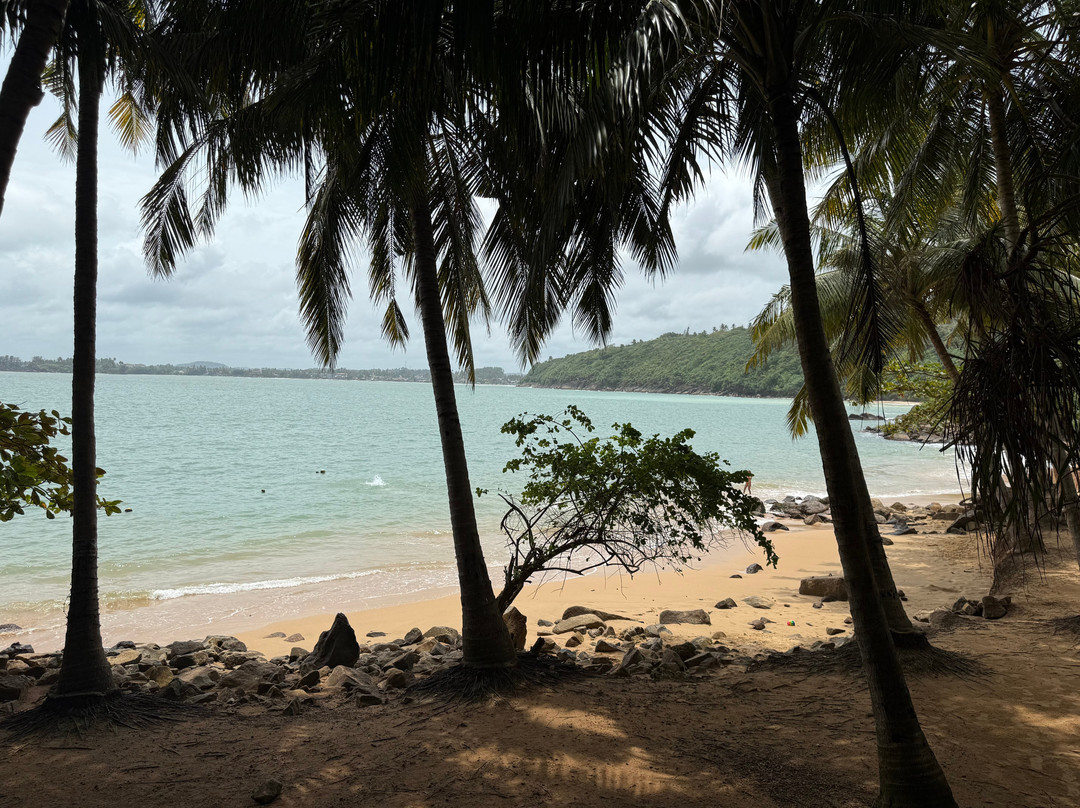 Ceylon Wavewalkers (Pvt) Ltd