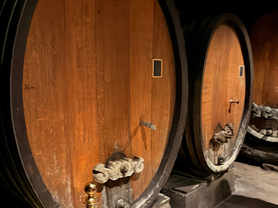 Domaine Albert Seltz-米特贝汉必去景点