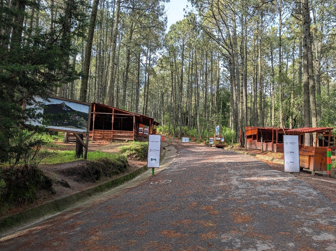 La Malinche National Park-Huamantla必去景点