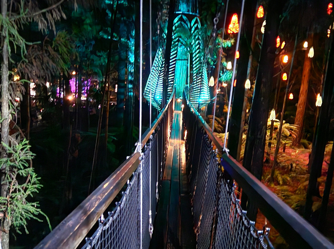 Redwoods Treewalk-罗托鲁瓦必去景点