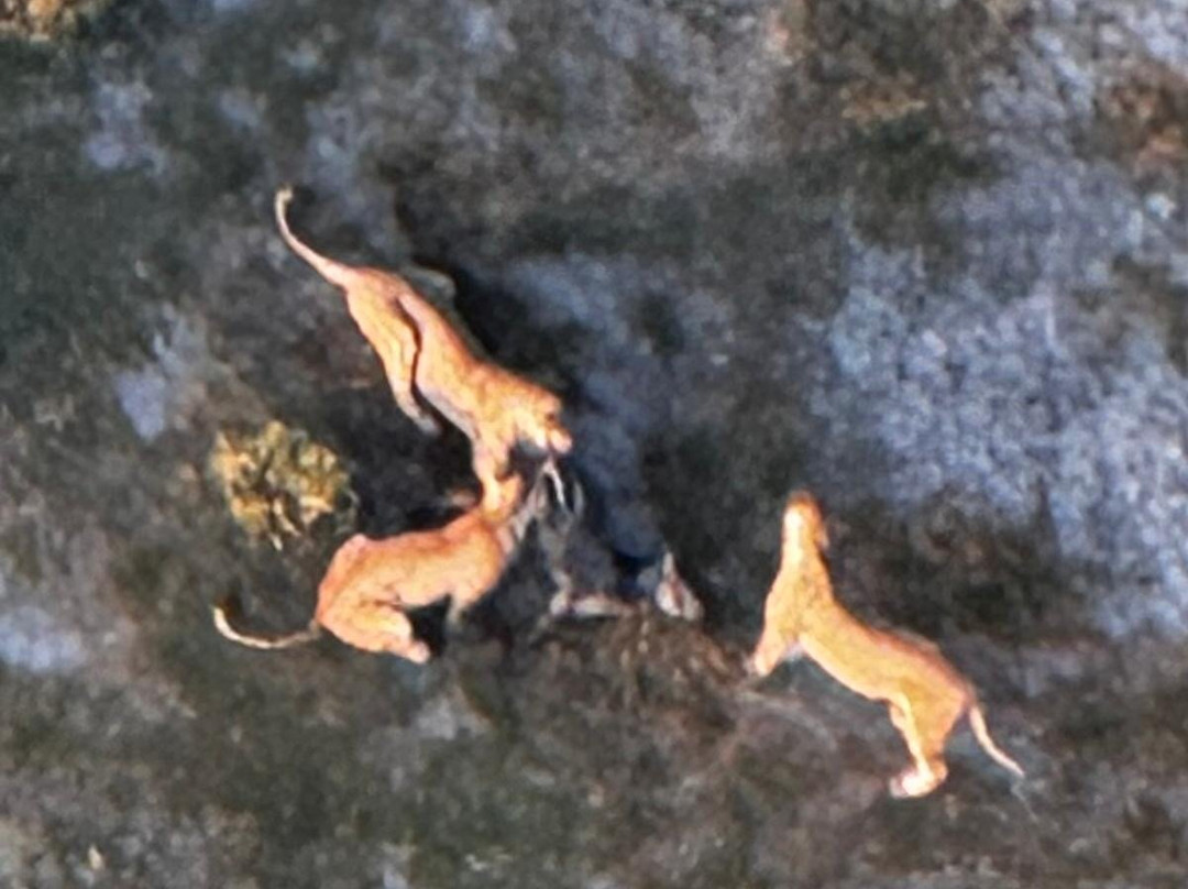 Tanzania Roadside Expeditions-阿鲁沙必去景点
