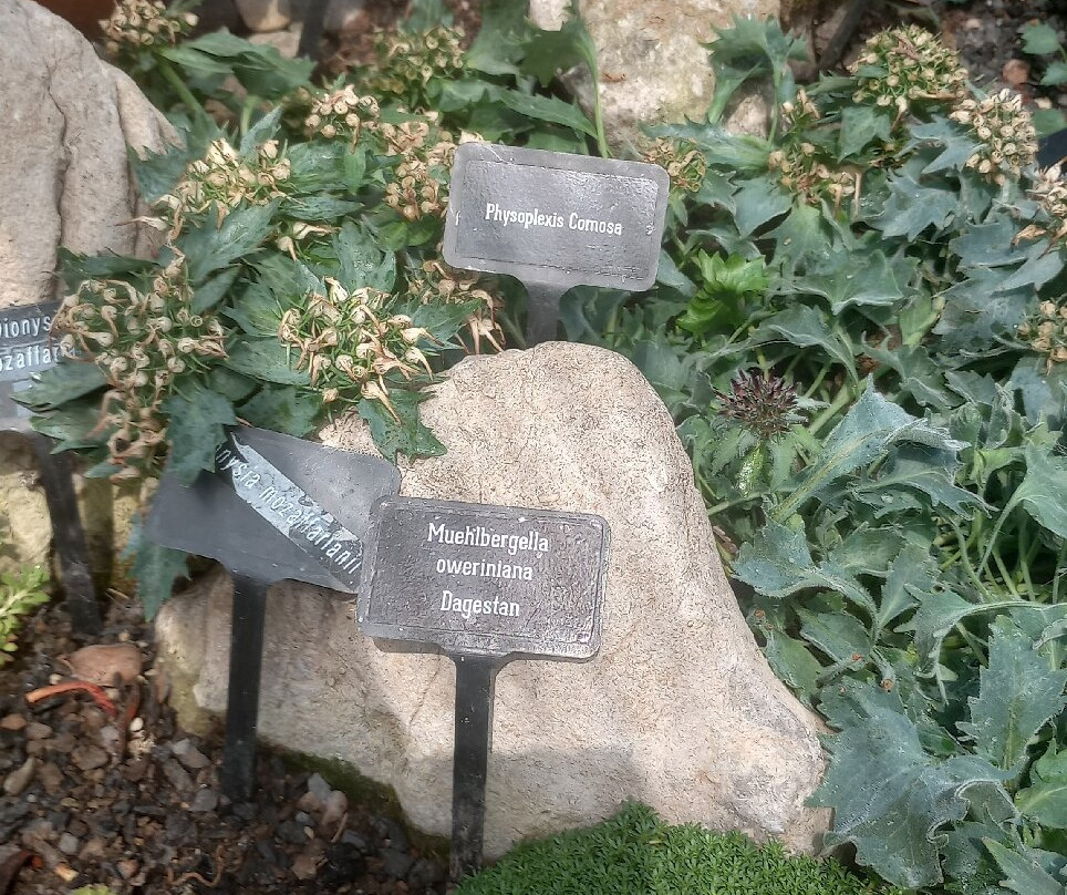Coolwater Garden-利默里克必去景点