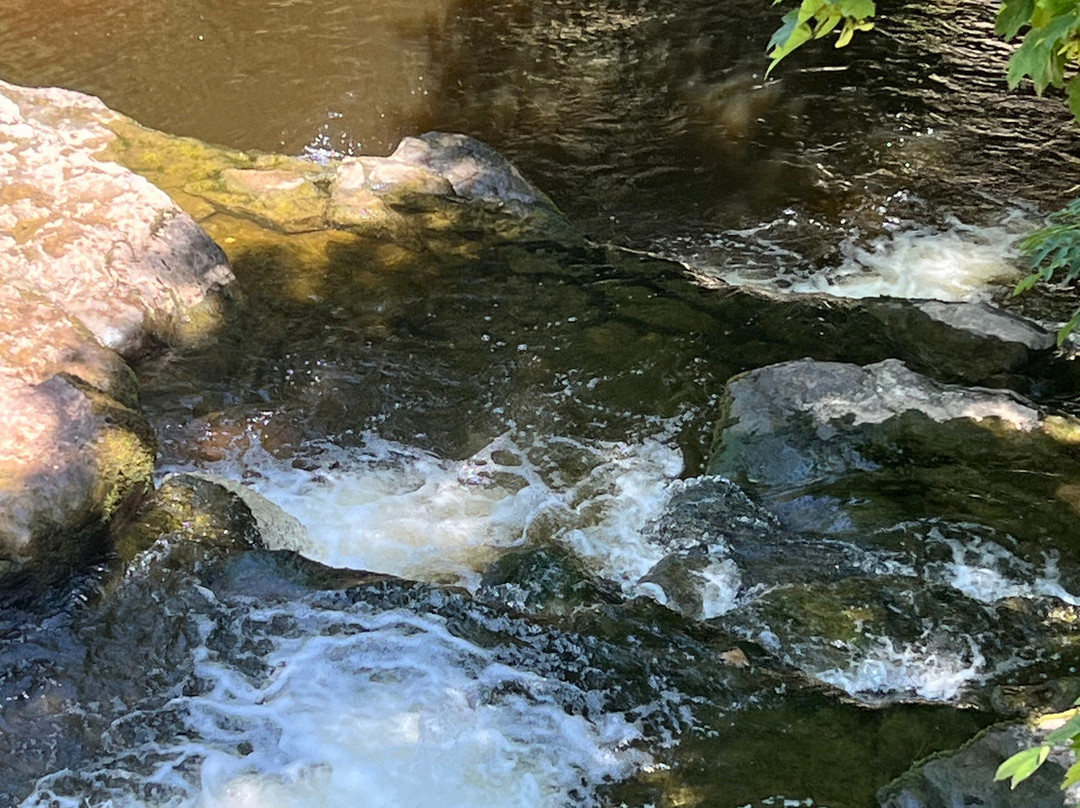 West Burton Falls-West Burton必去景点
