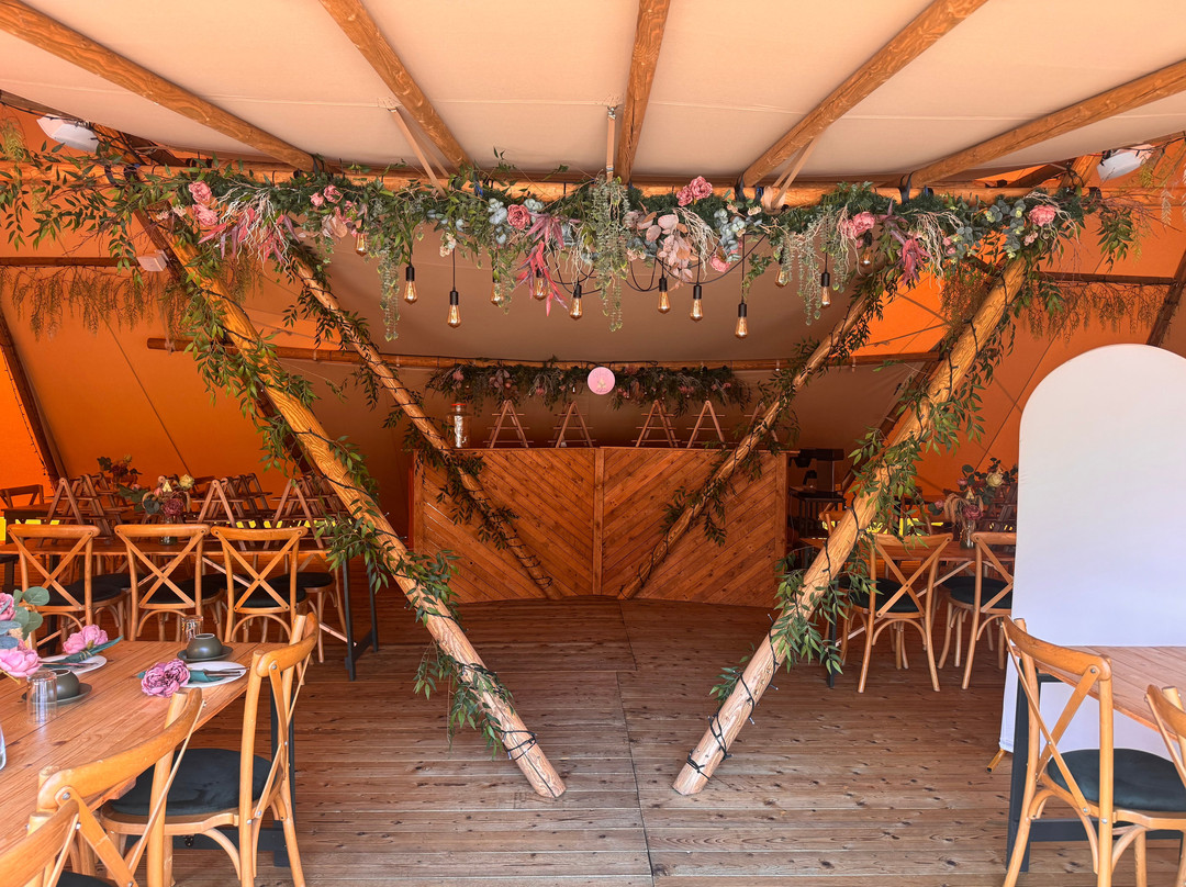 Driftwood Lodges Glamping