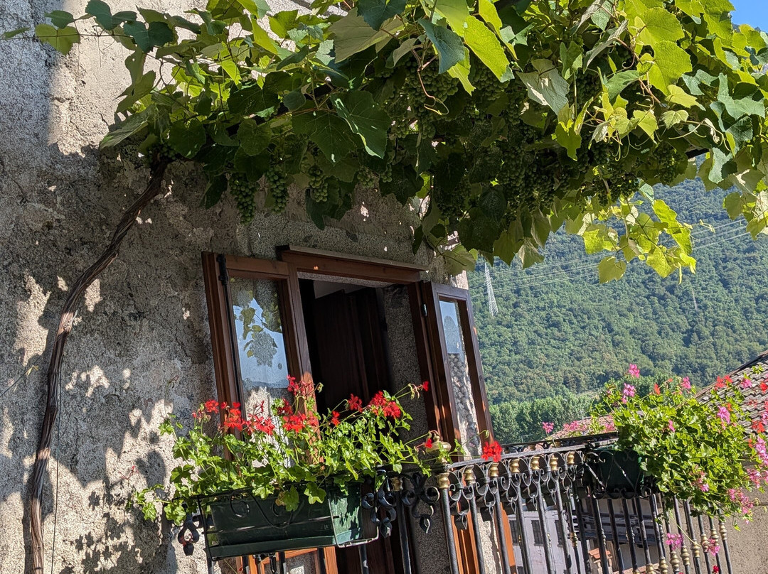 B&B Il Castello di Denisa主图