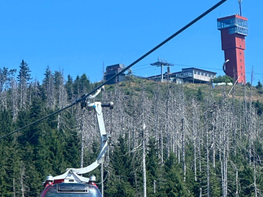 Wurmbergseilbahn Braunlage-布劳恩拉格必去景点