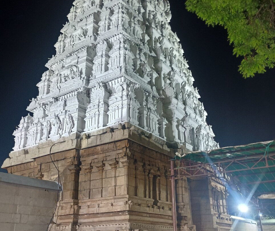 Sri Kalyana Venkateswaraswami Temple-蒂鲁伯蒂必去景点