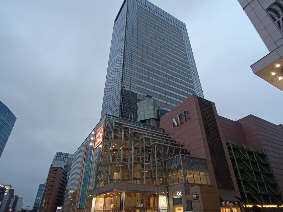 AER Lookout Terrace-仙台市必去景点