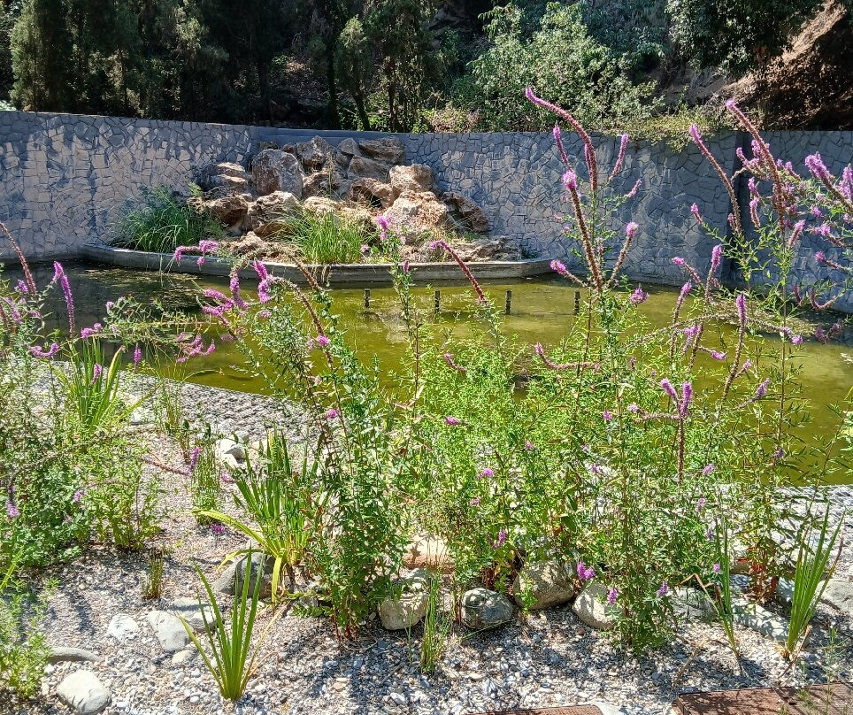 Parque Dalmau-卡莱利亚必去景点