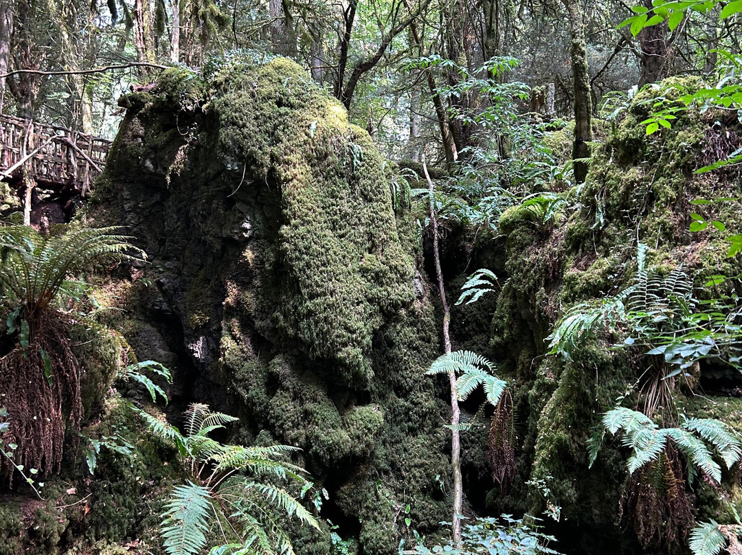 Puzzlewood-Coleford必去景点