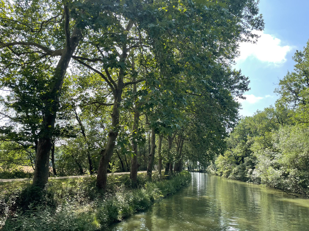 Le Boat - Castelnaudary-Castelnaudary必去景点
