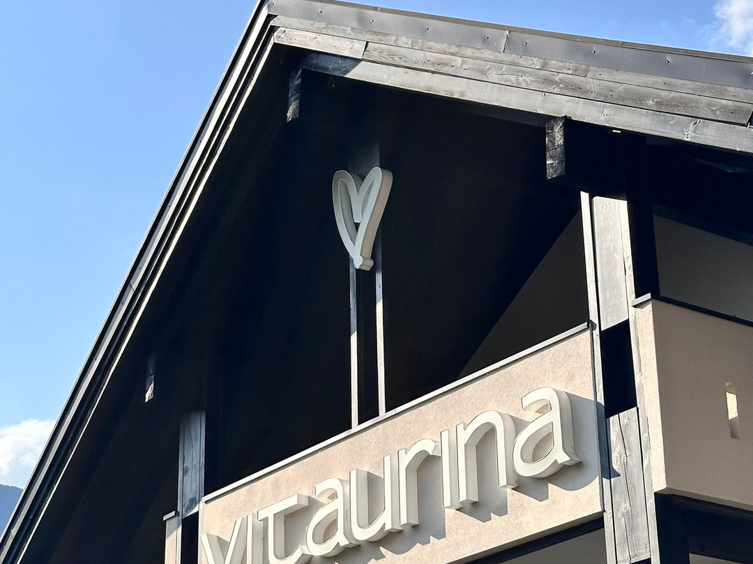 维塔里纳皇家酒店主图