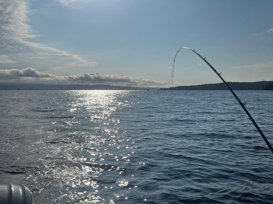 Undercover Sport Fishing Charters-鲍威尔里弗必去景点