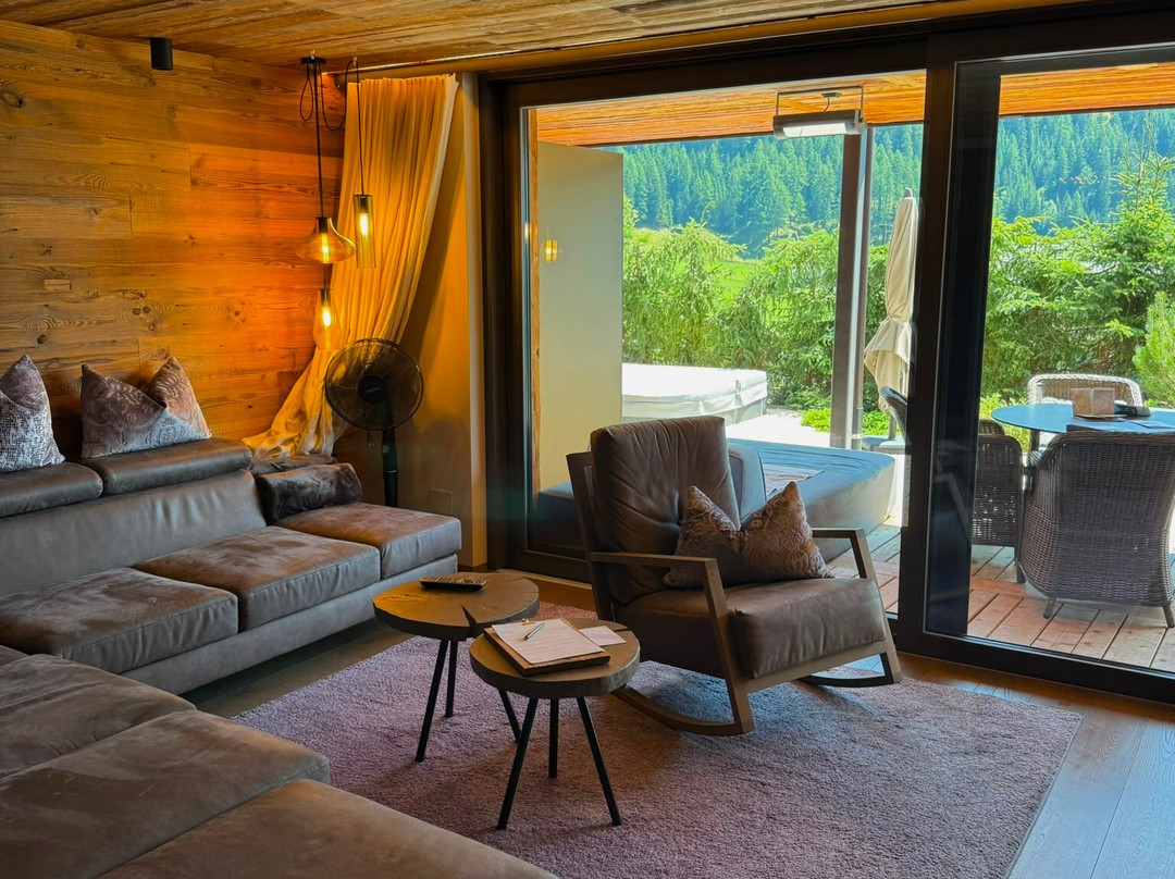 Chalet Salena主图