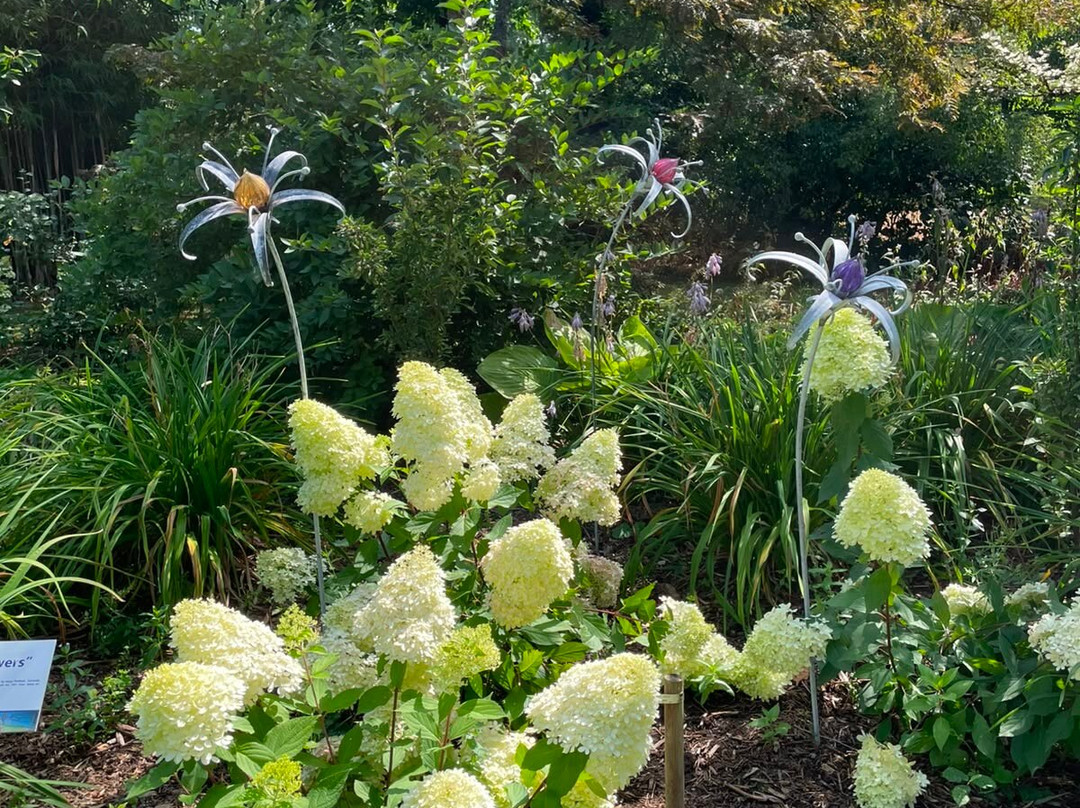 Bluebell Arboretum and Nursery-Smisby必去景点