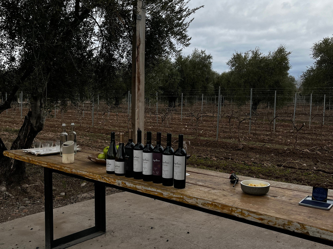 Finca El Paraíso - Bodega Luigi Bosca-Maipu必去景点