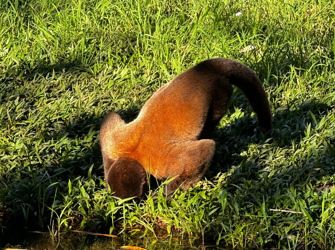 BioParque Yanacocha-Puyo必去景点
