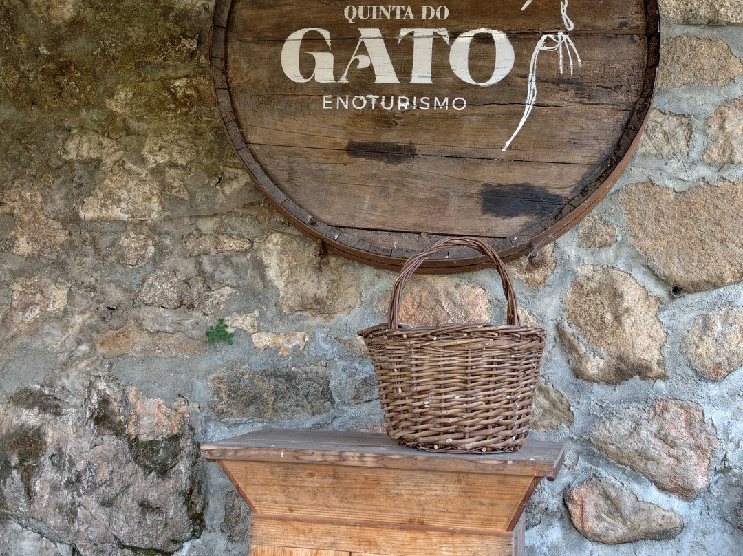 Quinta Do Gato Enoturismo-Sao Pedro do Sul必去景点