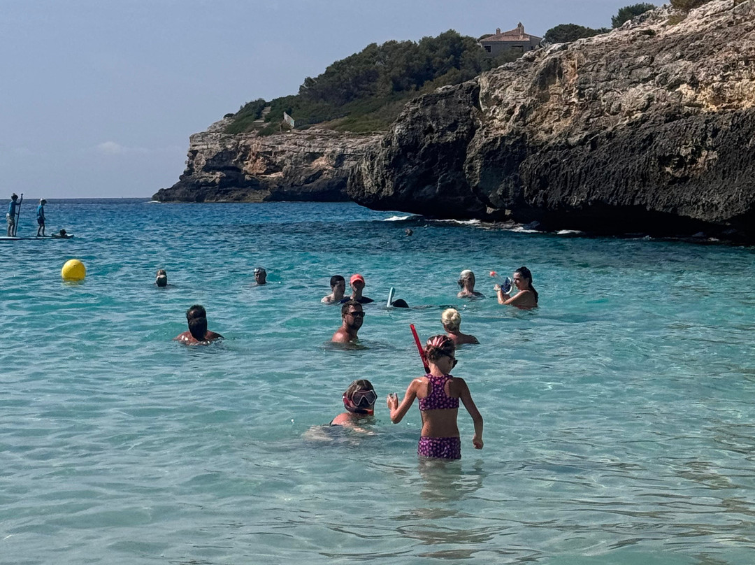 Cala Anguila-马纳科尔必去景点