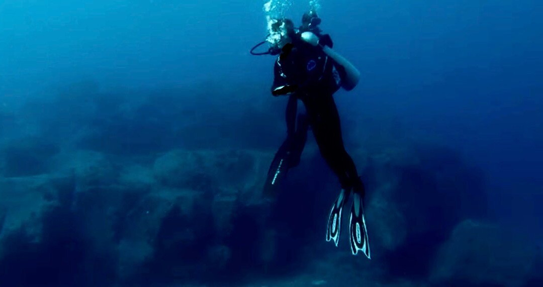 Orca Dive Club - Pereybere-Pereybere必去景点