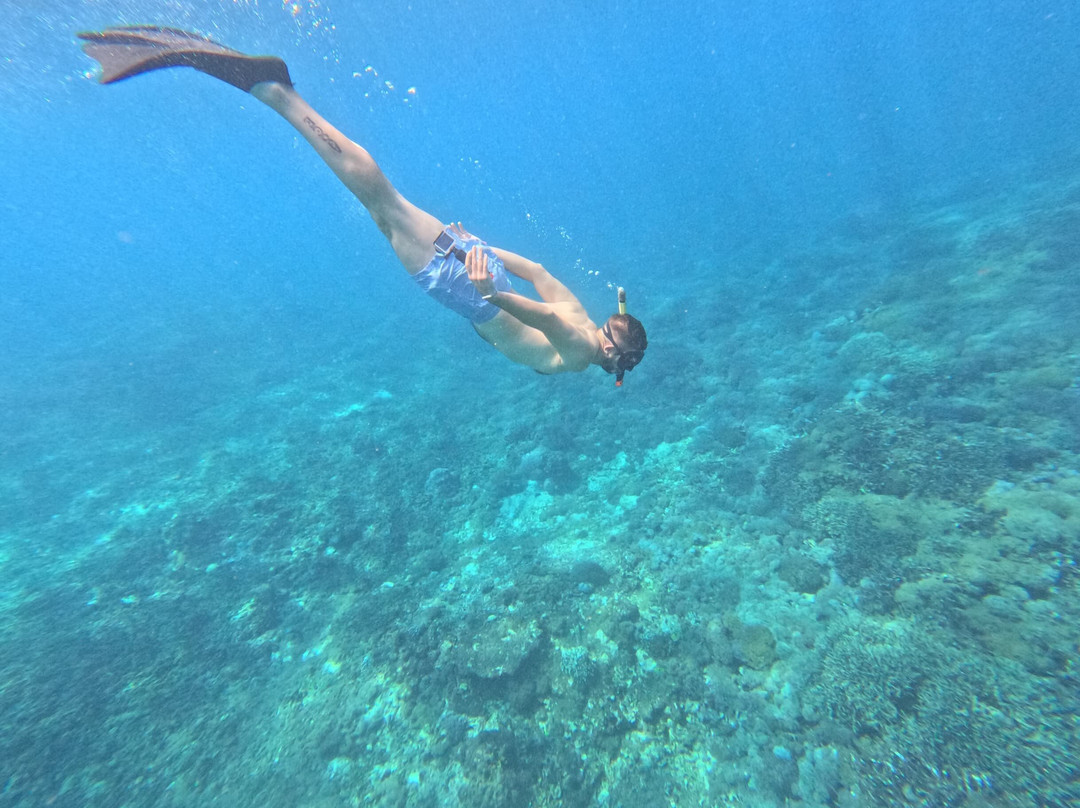 Mario Tour Nusa Penida-沙努尔必去景点