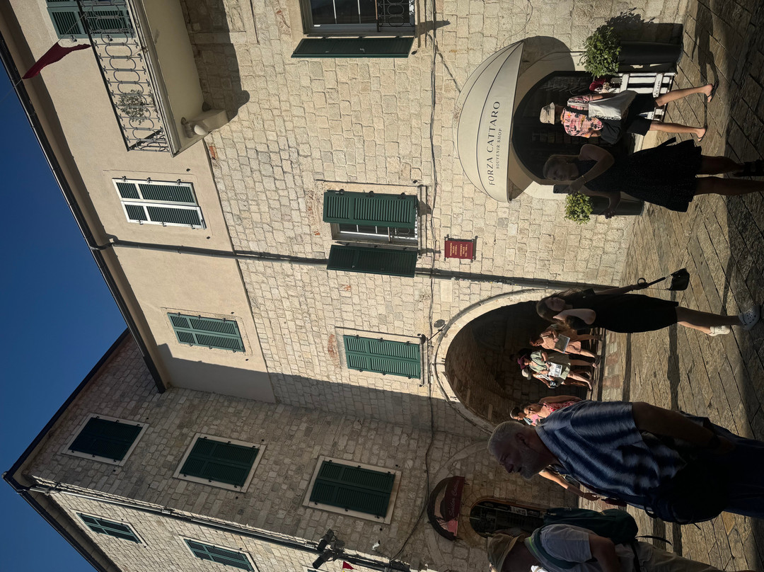 Knez Lipovac Excursions Boka Bay-Tivat必去景点