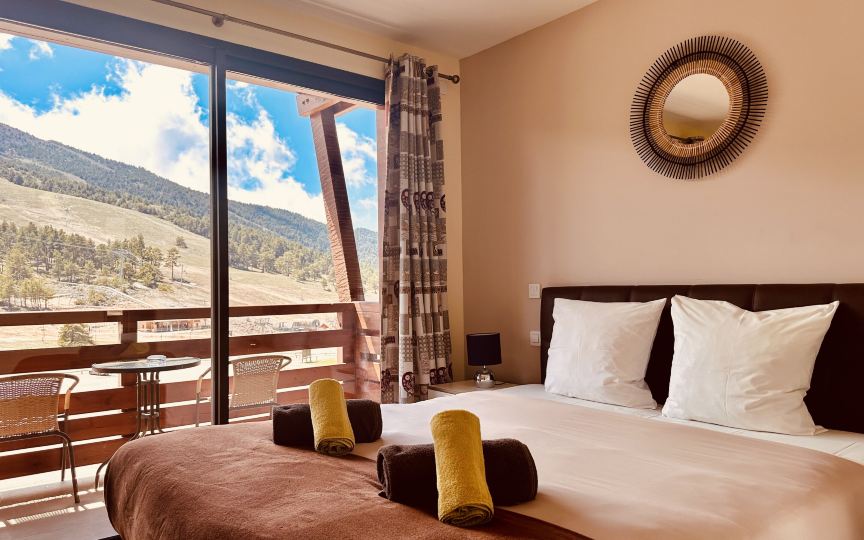 Auberge Alpina-客卧