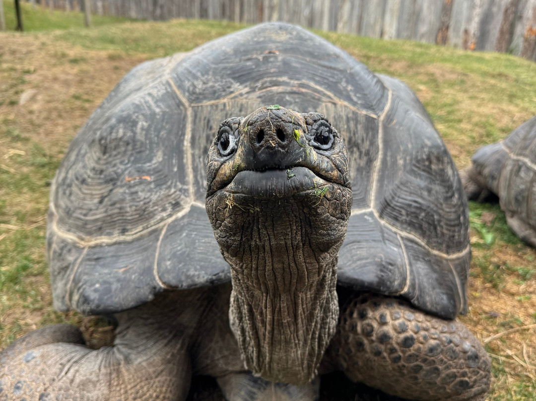 Krokodille Zoo-Eskilstrup必去景点