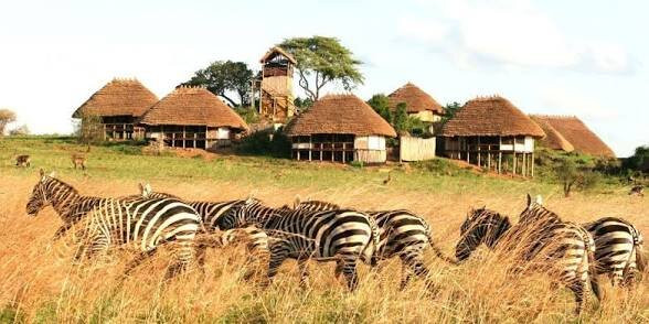 Lake Mburo National Park-Mbarara必去景点