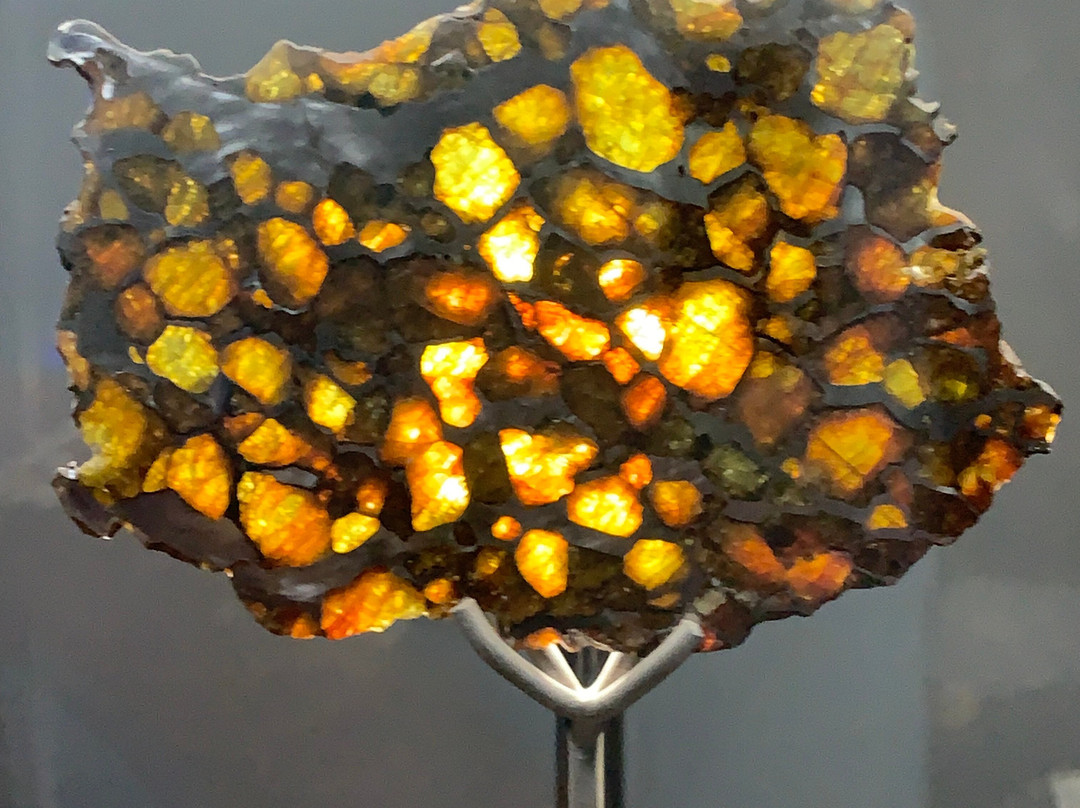 Museo del Meteorito-圣佩德罗-德阿塔卡马必去景点