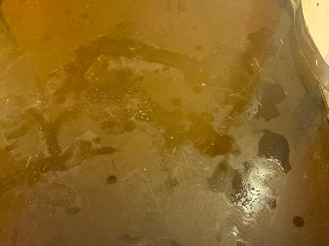 梅诺卡白宫度假公寓酒店主图