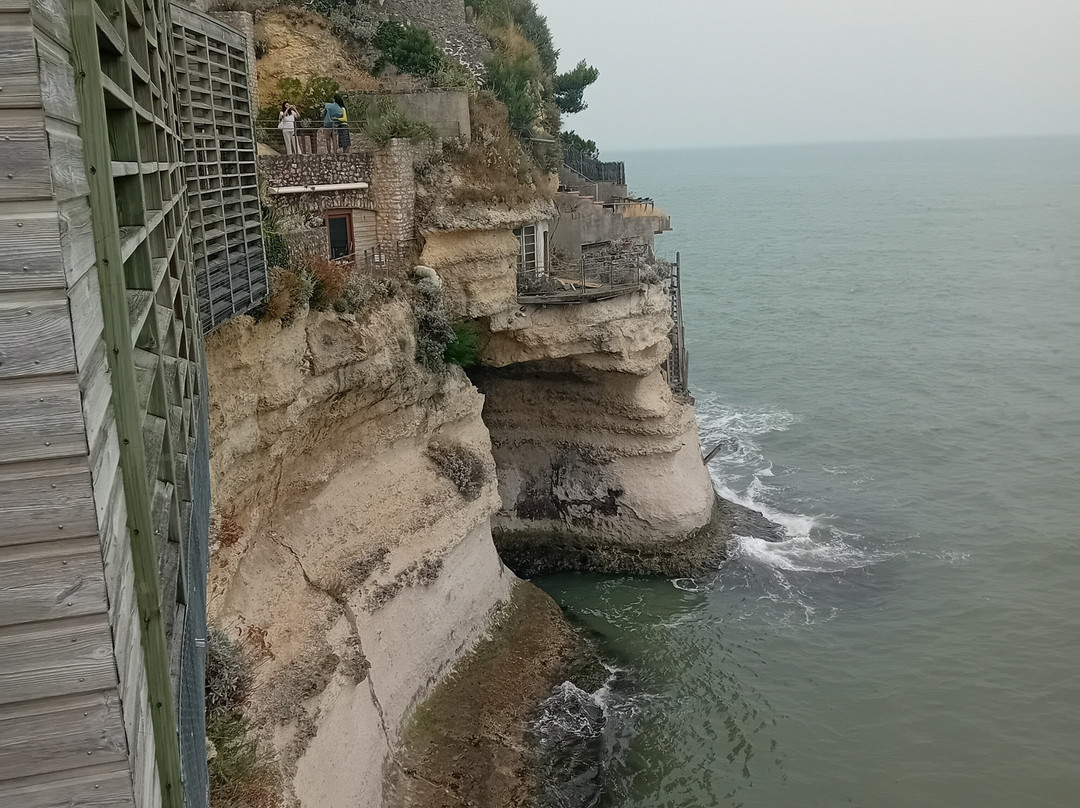Grottes du Régulus-Meschers-sur-Gironde必去景点