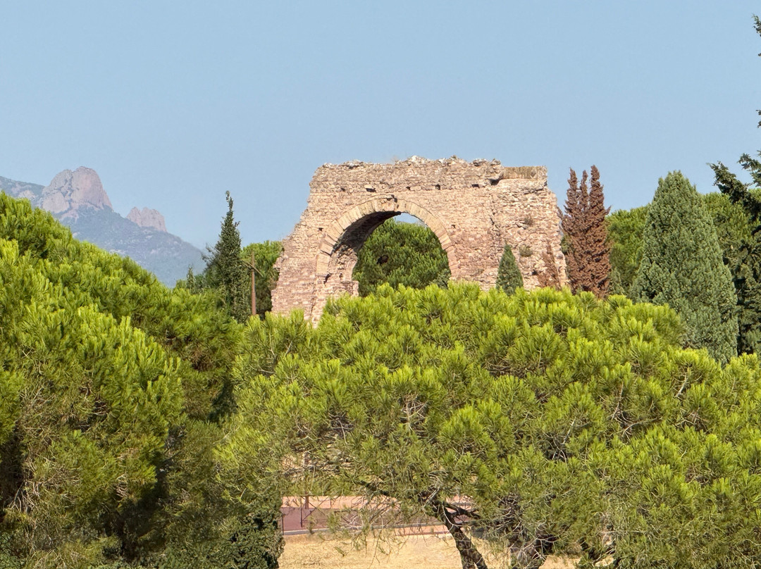 Office de Tourisme de Frejus-弗雷瑞斯必去景点