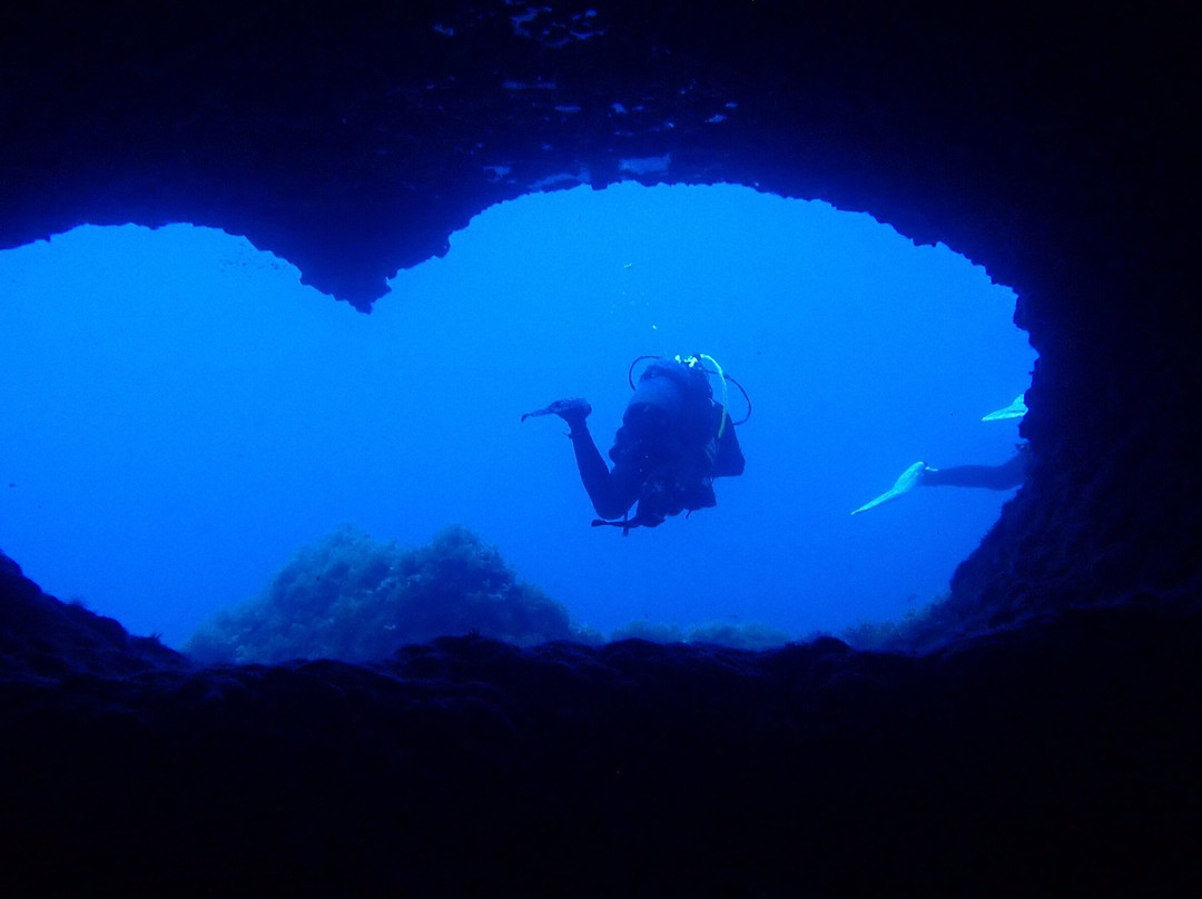 Capo Galera Diving Center-阿尔盖罗必去景点