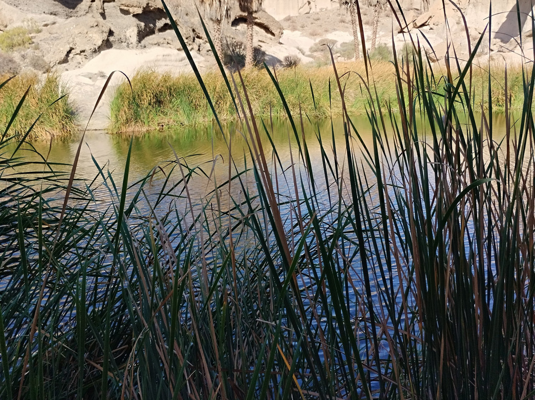 Reserva Ambiental de San Blas-圣米格尔德亚沃纳必去景点