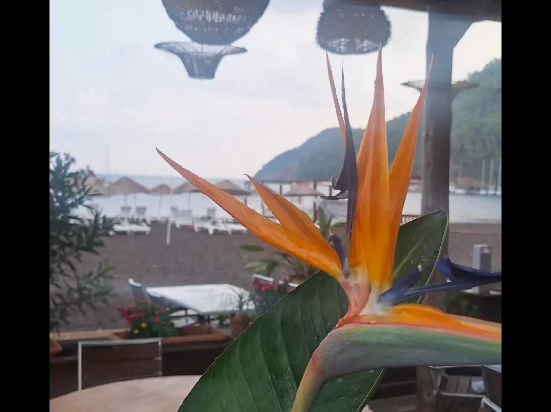 艾瑞克酒店主图