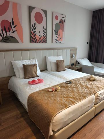 瑞享 Fruske Terme 度假水疗酒店-旅行者