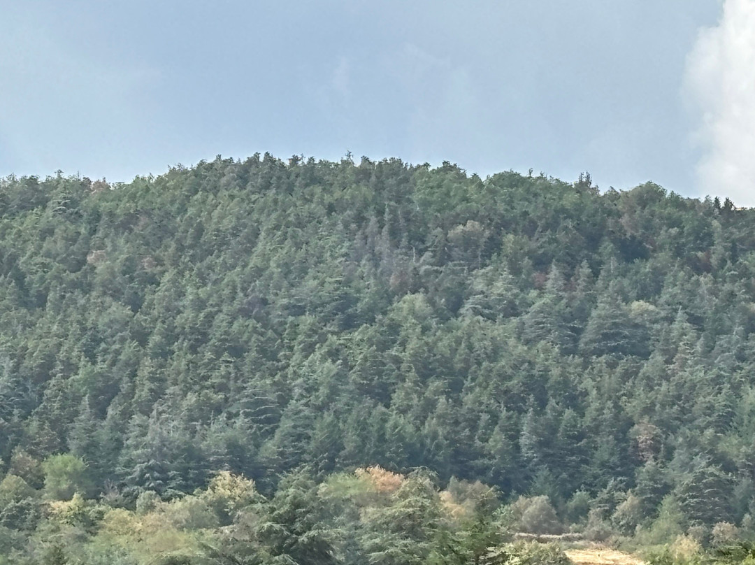Parc Naturel Régional du Pilat-Pelussin必去景点