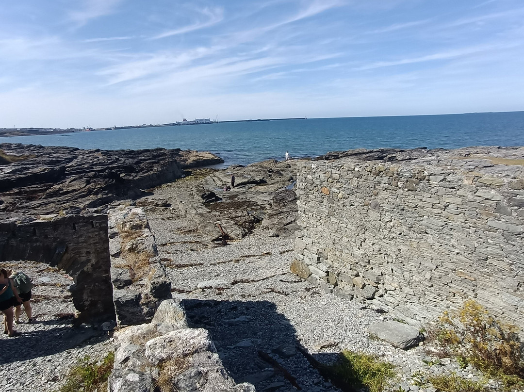 Penrhos Country Park-Holyhead必去景点