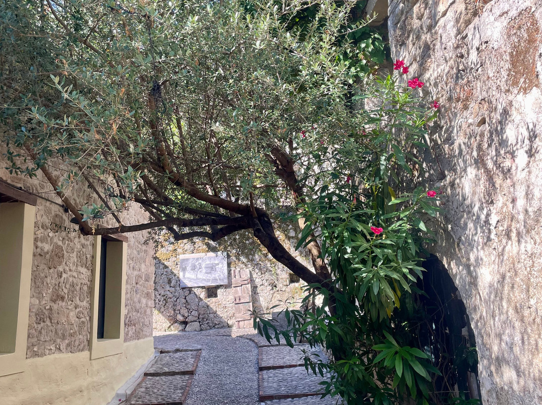 Paragaea - Old Olive Oil Factory-帕尔加必去景点