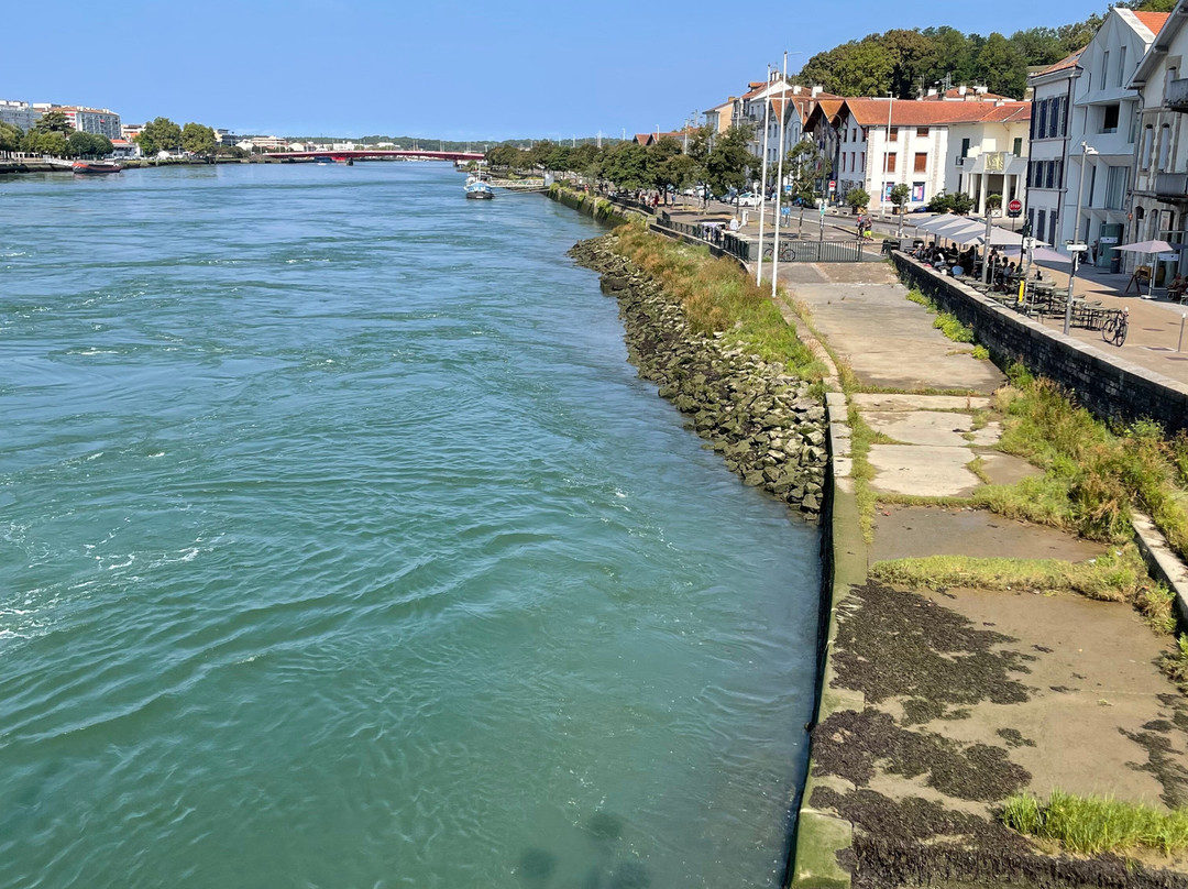 Rue Port Neuf-Bayonne必去景点