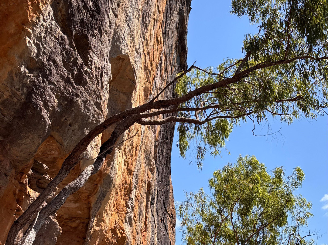 Air Adventure Australia-墨尔本必去景点