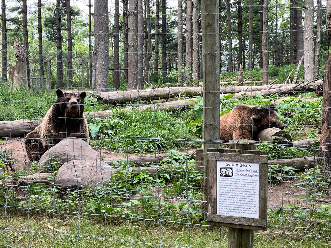 Shalom Wildlife Zoo-West Bend必去景点