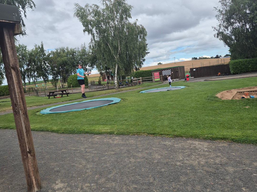 Active Kids Adventure Park-Stanley必去景点