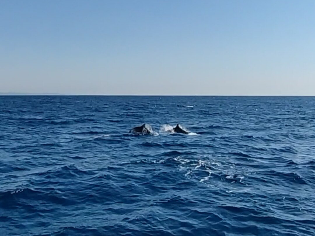 Leucate Evasion Marine-Leucate必去景点