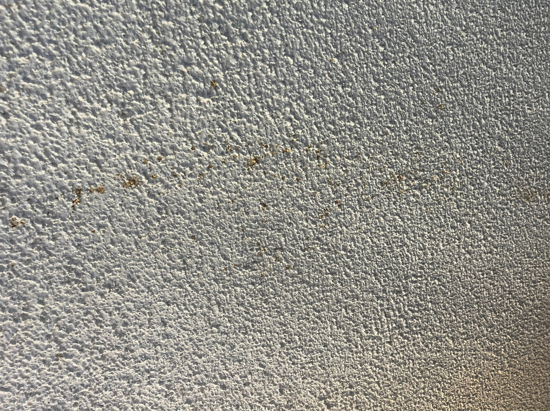 欧圣肖斯旅馆&套房酒店主图