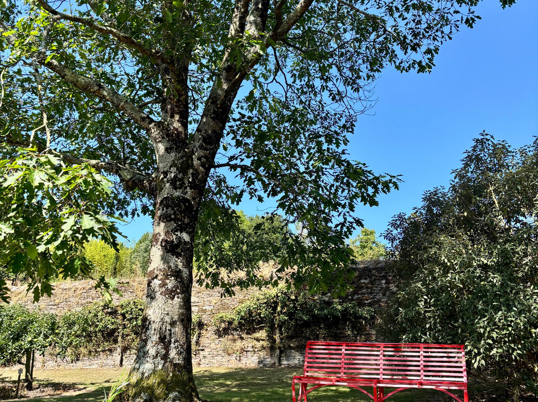 Cappoquin House Gardens-Cappoquin必去景点