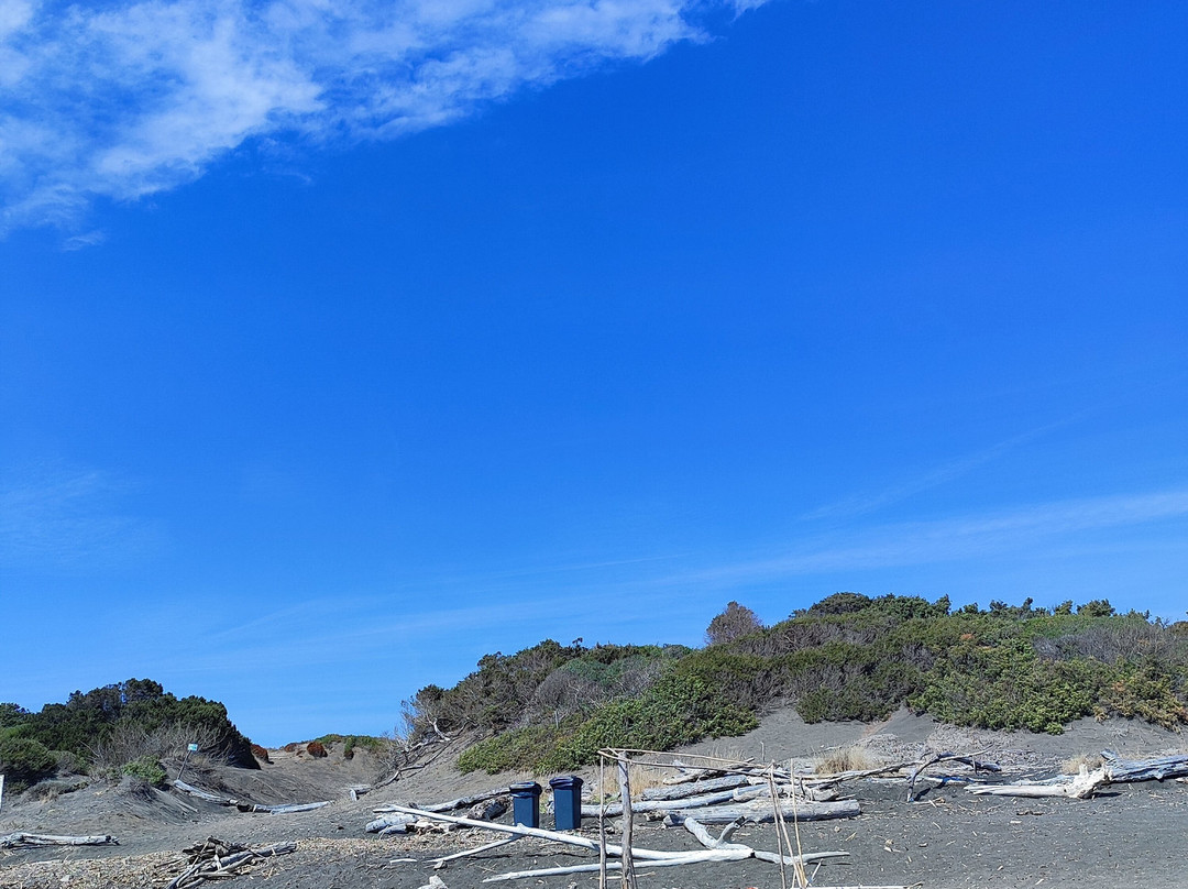 Spiaggia di Torba-Capalbio必去景点